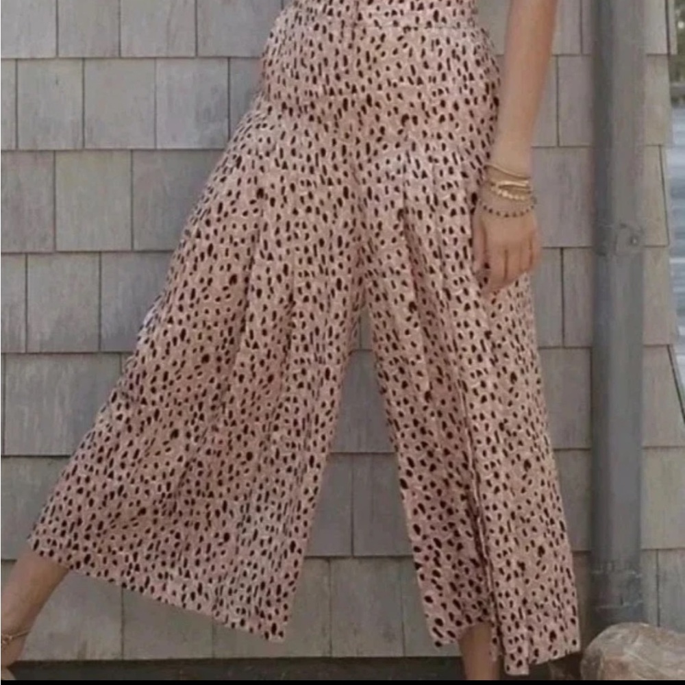 Anthropologie Isobel Pleated Leopard Print Wide-Leg Cropped Pants Culottes S